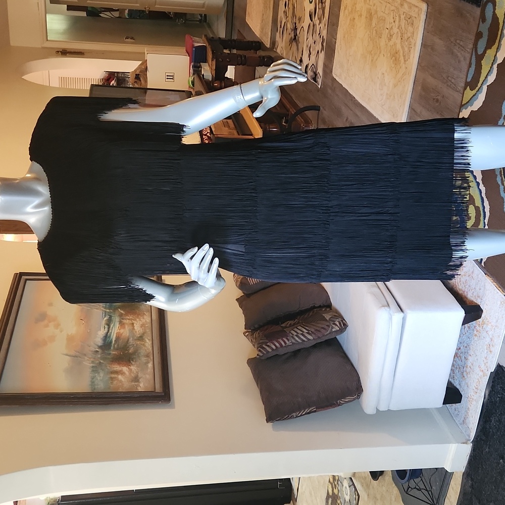 HW Collections, Black Fringe "Flapper" Dress, Size 10